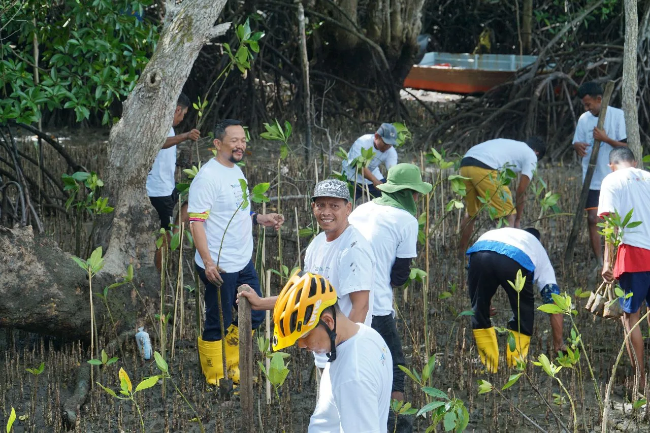 Pln Batam