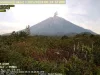 Gunung Semeru Erupsi 5 Kali Pagi Ini Senin 13 Mei 2024 169