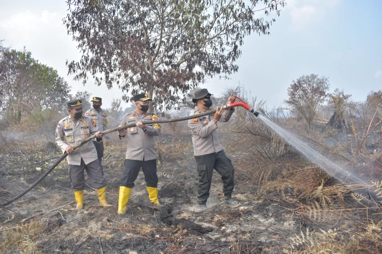 Ratusan Hektar Lahan Di Inhu Terbakar Tnipolri Berjibaku Padamkan Dari Darat Dan Udara 54