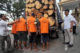 Polisi Bekuk 4 Pelaku Ilegal Logging Di Jambi 34