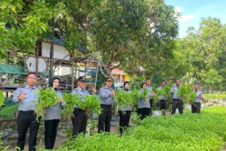 Karutan Karimun, Arjiunna bersama jajaran pegawai memanen kebun kangkung dan pare hasil kerja keras WBP | Foto: Ami