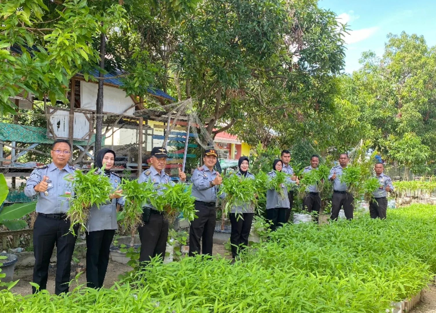 Karutan Karimun, Arjiunna bersama jajaran pegawai memanen kebun kangkung dan pare hasil kerja keras WBP | Foto: Ami