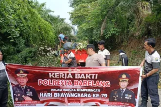 Img 20250611 wa0014