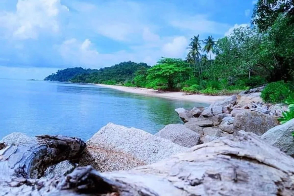 Prmn news 2025 06 20t085425.141