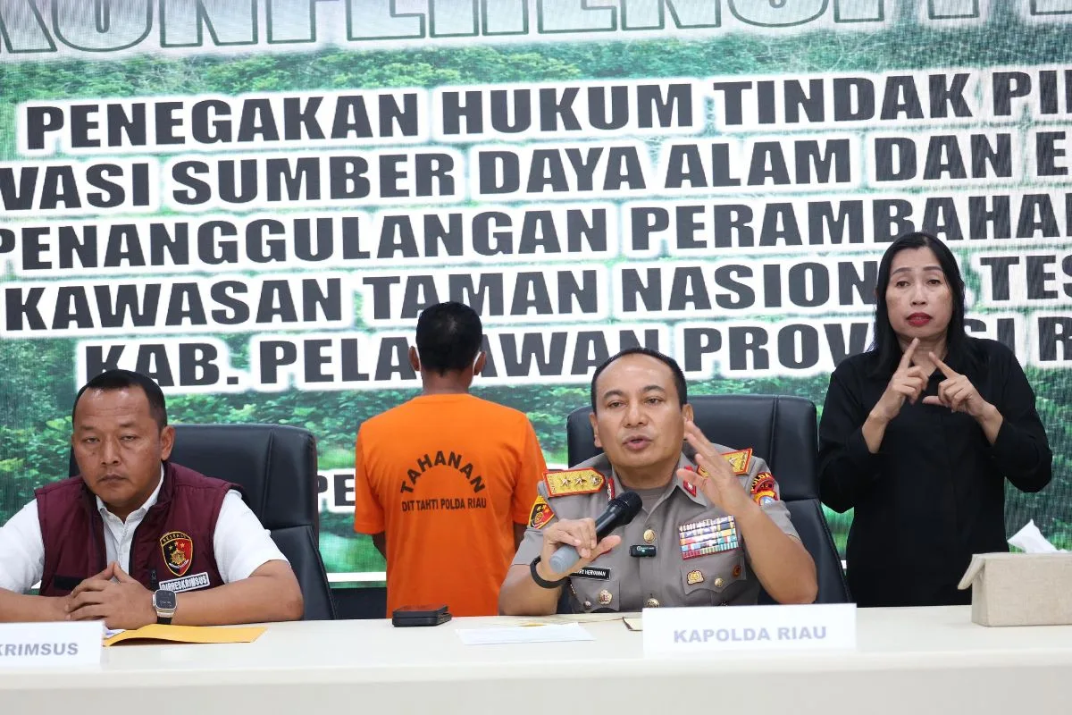 Prmn news 2025 06 24t095844.076