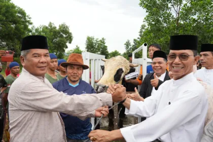 D95c353c fbf6 4cf1 801a b8cad0e5b981