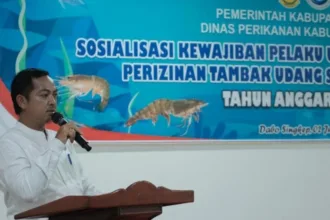 Img 20250702 wa0036