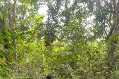 Img 20250712 wa0014