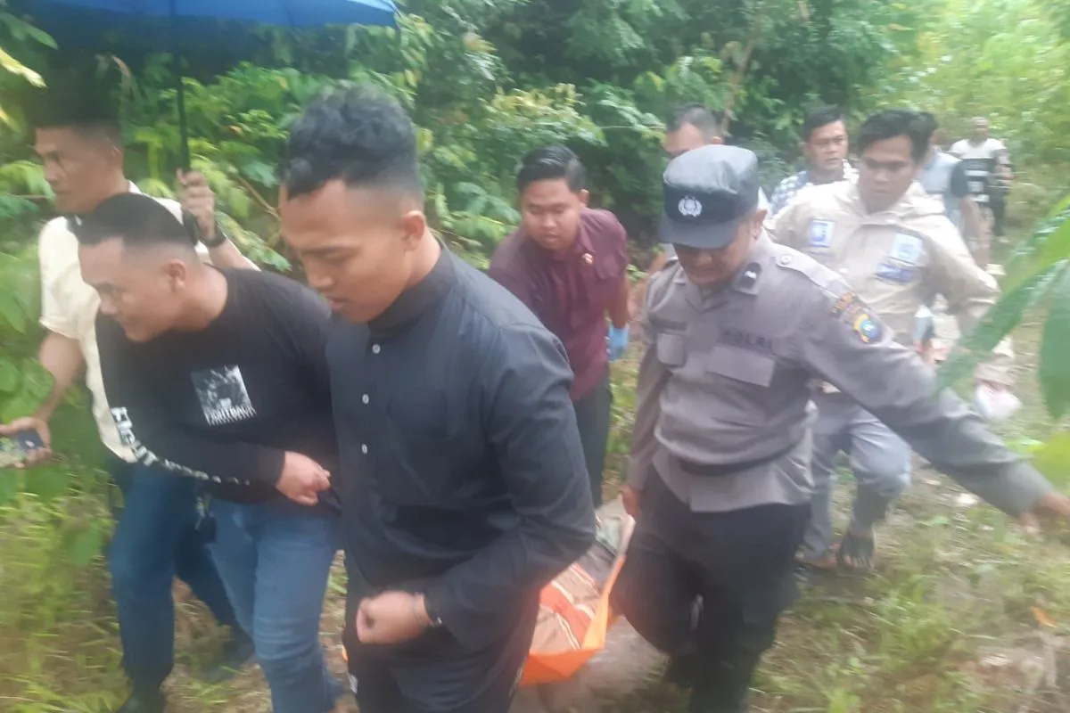 Prmn news 2025 07 12t122855.669