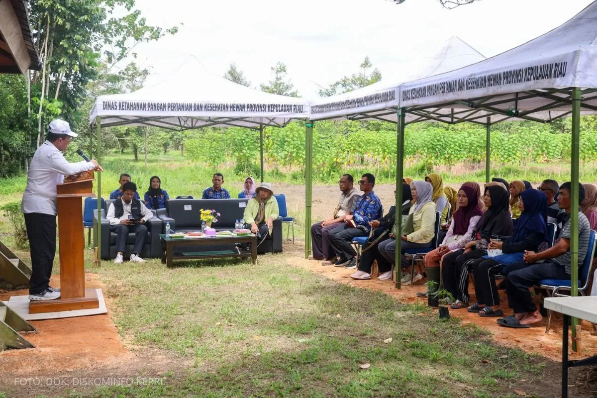 Prmn news 2025 07 18t133619.501