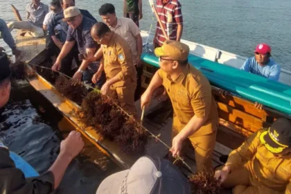 Prmn news 2025 07 23t154332.217