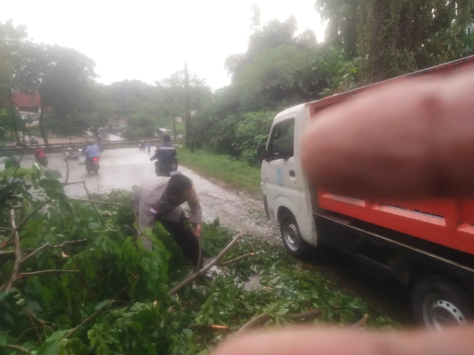 Whatsapp image 2025 07 12 at 10.17.42