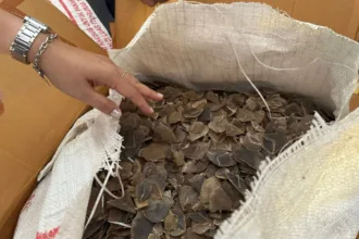 Berita lingga 2025 09 01t090302.927