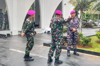 Whatsapp image 2025 09 15 at 15.57.56