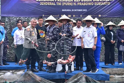 Img 20251029 wa0015
