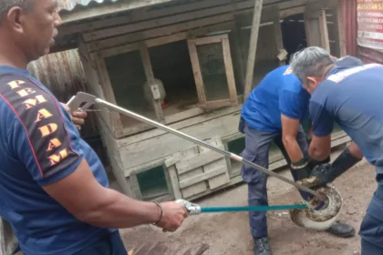 Kutipan berita lingga 2025 10 02t192925.010