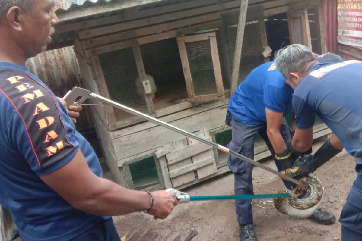 Kutipan berita lingga 2025 10 02t192925.010