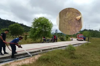 Kutipan berita lingga 2025 10 08t104419.988