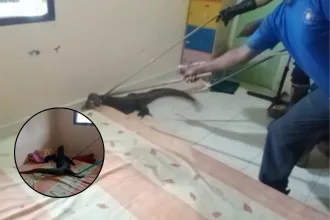 Kutipan berita lingga 2025 10 09t154523.334