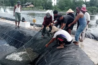 Kutipan berita lingga 2025 10 09t190549.679