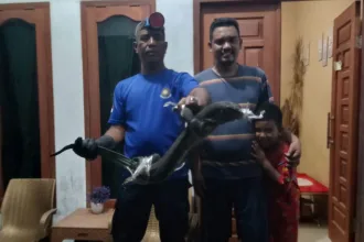 Kutipan berita lingga 2025 10 13t084547.583