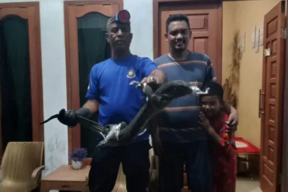 Kutipan berita lingga 2025 10 13t084547.583