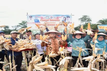 Kutipan berita lingga 2025 10 24t100932.632