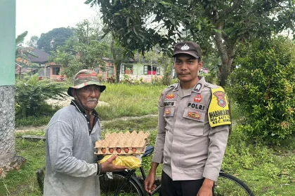 Img 20251108 wa0014
