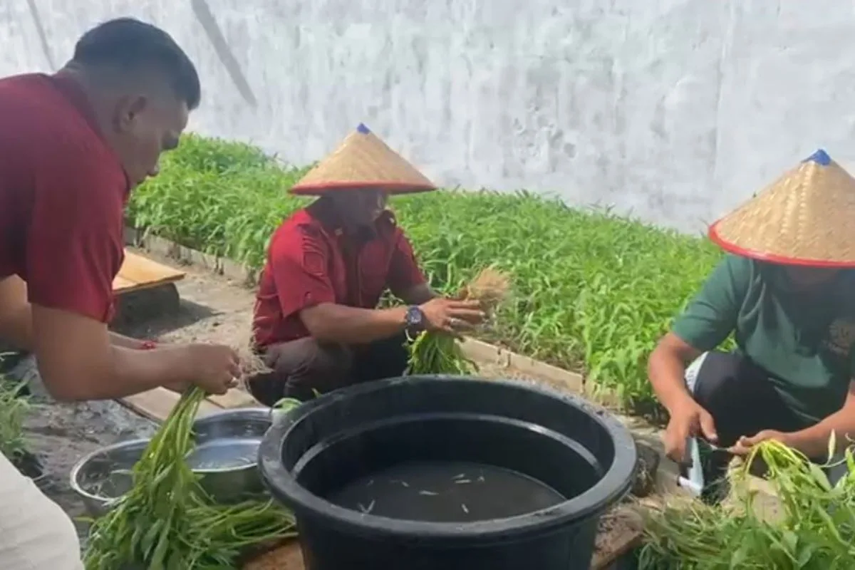 Kutipan berita lingga 2025 11 06t092114.519