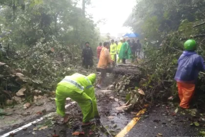 KUTIPAN BERITA LINGGA 2025 11 27T150718.759