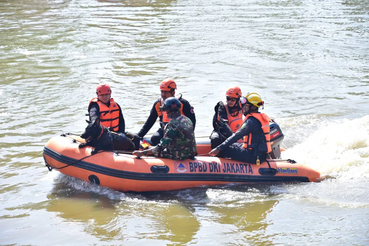 Whatsapp image 2025 11 04 at 16.38.28 (1)