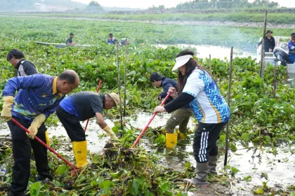 WhatsApp Image 2025 11 19 at 14.44.12