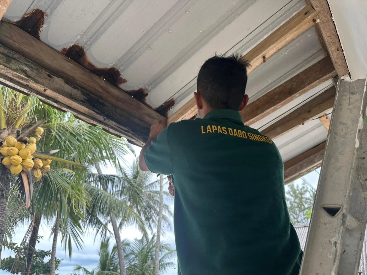 WhatsApp Image 2025 11 27 at 12.08.54