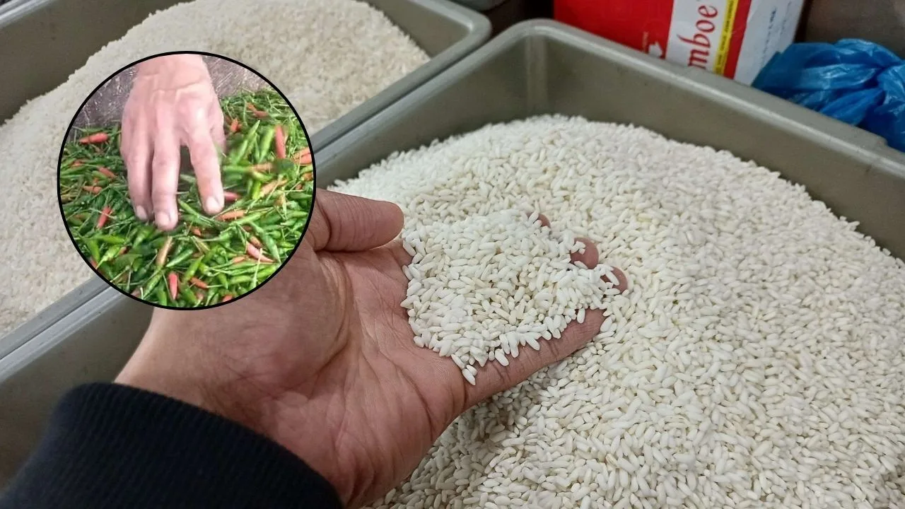 KUTIPAN LINGGA 2026 01 10T153308.617