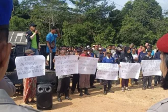 KUTIPAN LINGGA 2026 01 13T202147.066