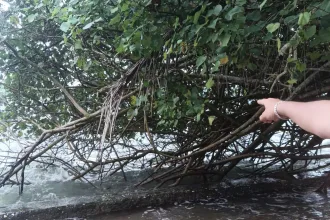 WhatsApp Image 2026 01 08 at 18.04.16