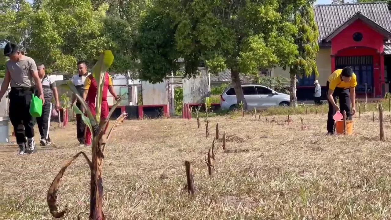 WhatsApp Image 2026 01 31 at 11.23.36