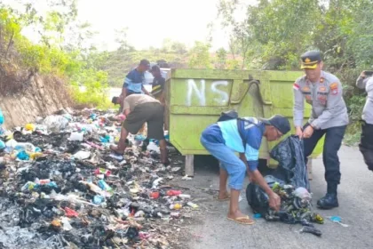 9cd788fc 8864 495e b3b0 5bb3dab12b5a