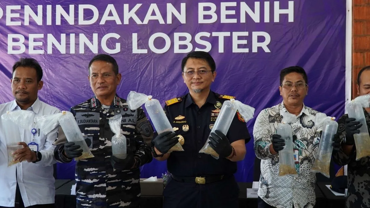 KUTIPAN LINGGA 2026 02 05T181025.584