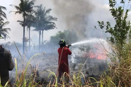 KUTIPAN LINGGA 2026 03 12T131220.541