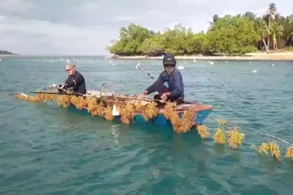 KUTIPAN LINGGA 2026 03 27T092337.456