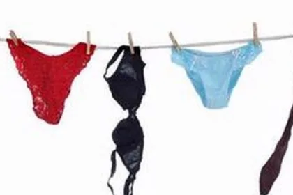 KUTIPAN LINGGA 2026 03 29T172126.010