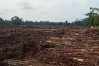 KUTIPAN LINGGA 2026 04 02T200201.003