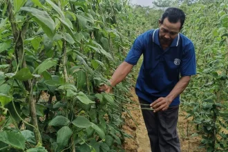 KUTIPAN LINGGA 2026 04 26T173651.860