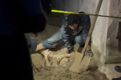 KUTIPAN LINGGA 2026 04 28T223851.504