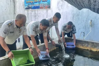 WhatsApp Image 2026 04 23 at 14.35.43