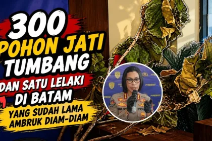KUTIPAN LINGGA 2026 05 07T214741.488